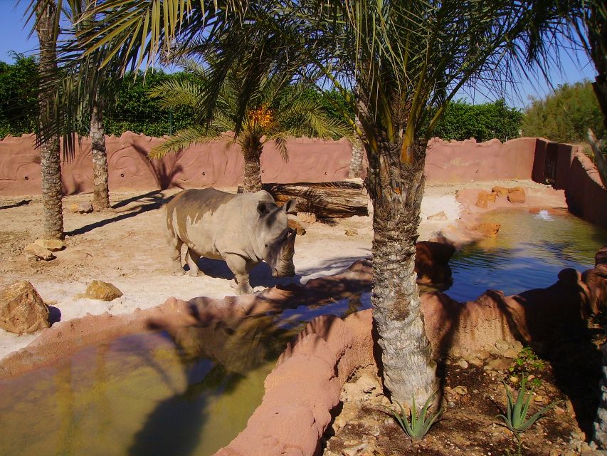 Murcia: Terra Natura Murcia Ticket Entry - Who will enjoy Terra Natura Murcia?
