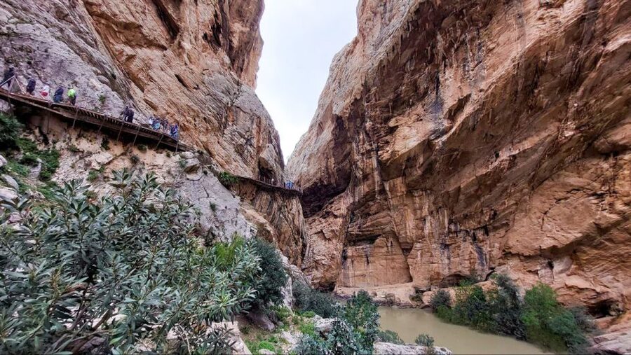Nerja, Torrox, or Torre del Mar: Caminito del Rey Day Trip - Walking 100 meters above the Guadalhorce River