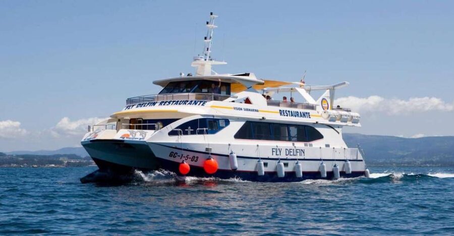 O Grove: Ría de Arousa Catamaran Tour with Seafood Lunch - Bird-Watching Along the Estuary