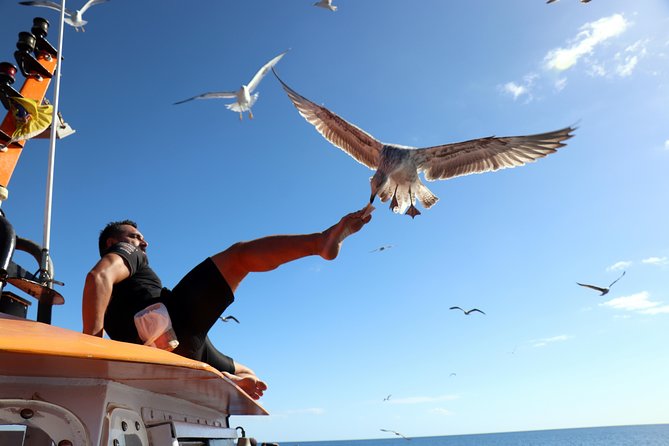 Odyssee 3: The Glass Bottom Boat Tour in Fuerteventura - Key points to know before you book