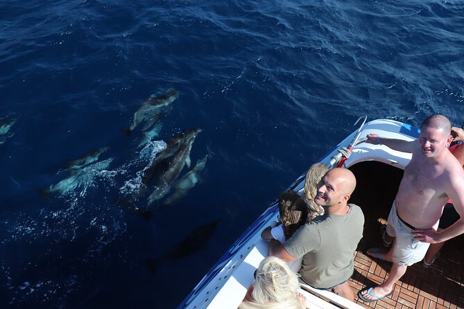 Odyssee 3: The Glass Bottom Boat Tour in Fuerteventura - Setting out from Morro Jable