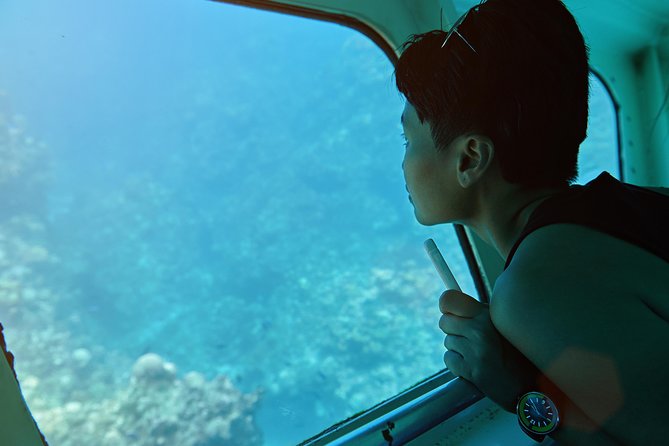 Odyssee 3: The Glass Bottom Boat Tour in Fuerteventura - Seeing beneath the boat