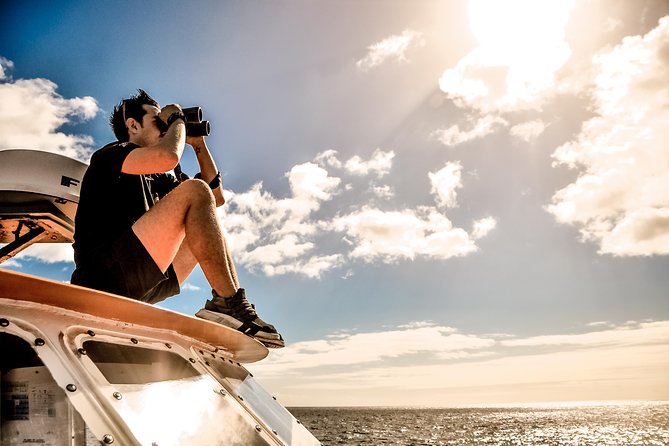 Odyssee 3: The Glass Bottom Boat Tour in Fuerteventura - Music, seagulls, and the crew’s show
