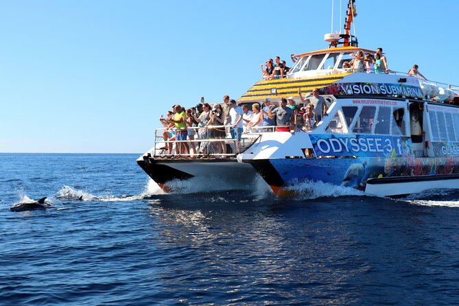 Odyssee 3: The Glass Bottom Boat Tour in Fuerteventura - Photo package and practical costs