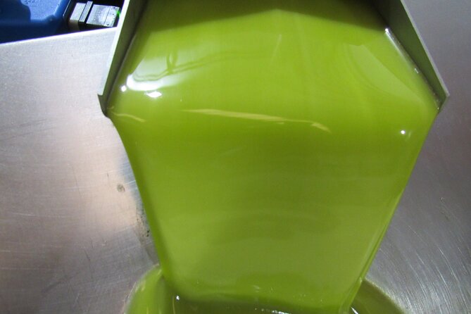 Oil tourism in Pulpí Discover the World of EVOO - A short video lesson before the tasting