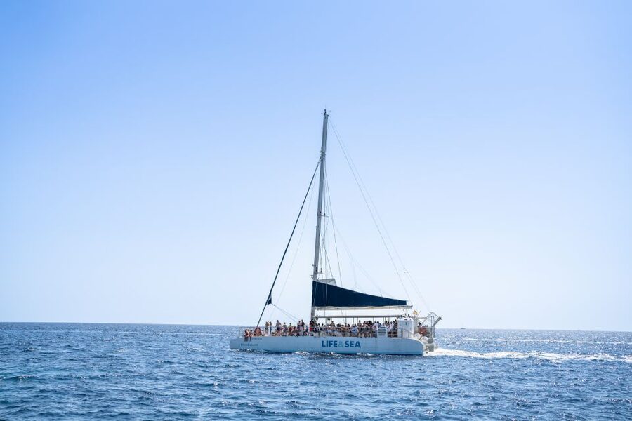 Palma: Catamaran Cruise with Swimming and Snorkelling - The swimming stops are the heart of the trip