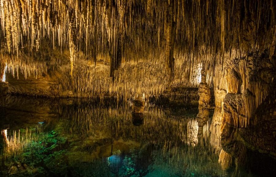 Palma: Caves of Drach Entrance, Music Concert, and Boat Trip - Who will enjoy this trip most