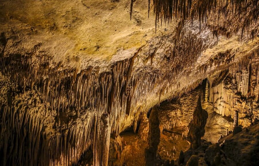 Palma: Caves of Drach Entrance, Music Concert, and Boat Trip - Leaving Palma by coach