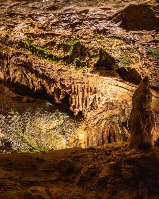 Palma: Caves of Genova Ticket & Digital Informational Video - The formations are the main event