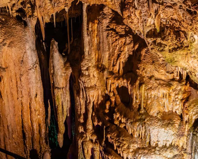 Palma: Caves of Genova Ticket & Digital Informational Video - What happens from the restaurant reception to the underground route