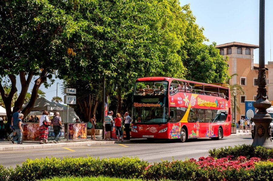 Palma de Mallorca: City Sightseeing Hop-On Hop-Off Bus Tour - What this Palma bus tour actually covers