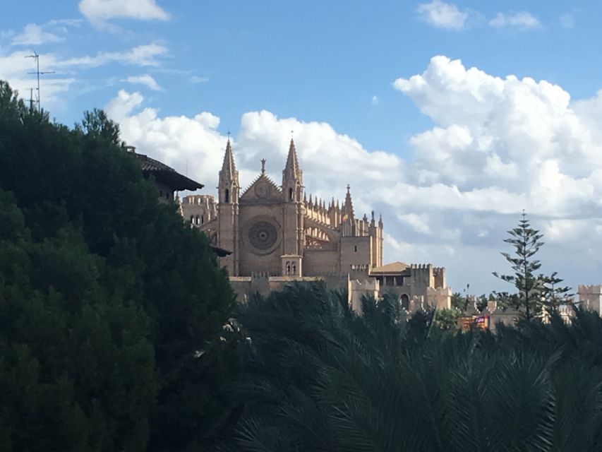 Palma de Mallorca: Guided Tour of the Old Town - La Seu and the royal quarter