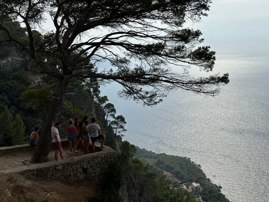 Palma de Mallorca: North Coast Nature Escape Day Tour - Who will enjoy this tour most
