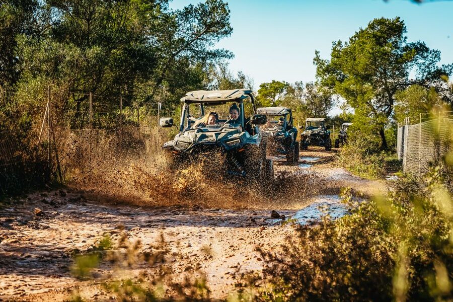 Palma de Mallorca: Off/On Road Buggy Tour with 2 or 4 Seater - Price, insurance, and the real value