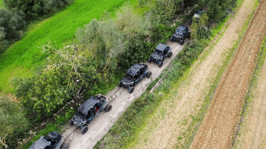 Palma de Mallorca: Off/On Road Buggy Tour with 2 or 4 Seater - Guides, communication, and group comfort
