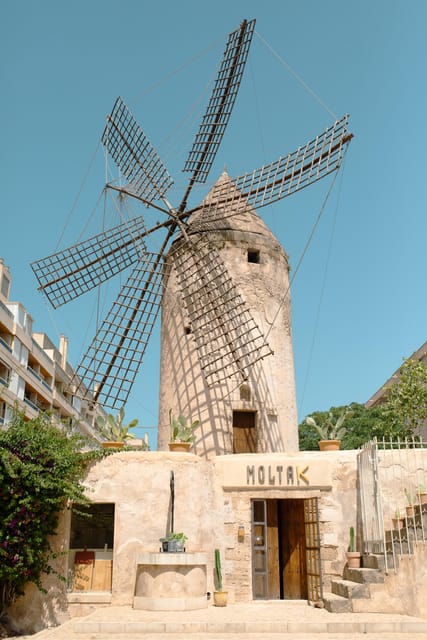 Palma de Mallorca: Spanish Cooking Experience - From sobrasada and tortilla to Catalan cream