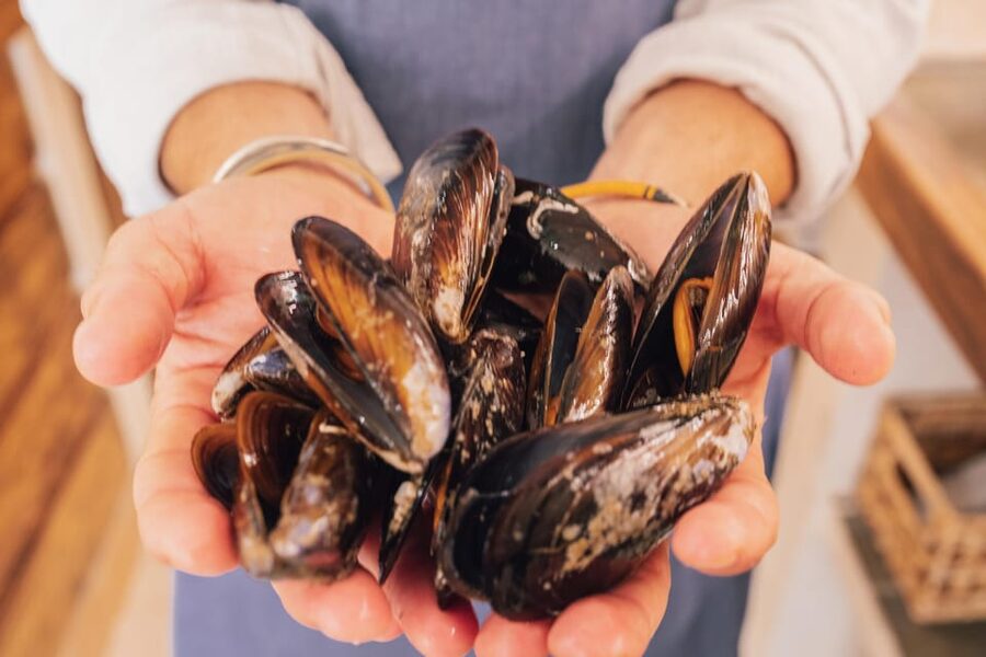 Palma de Mallorca: Spanish Cooking Experience - Getting to Carrer Industria 9