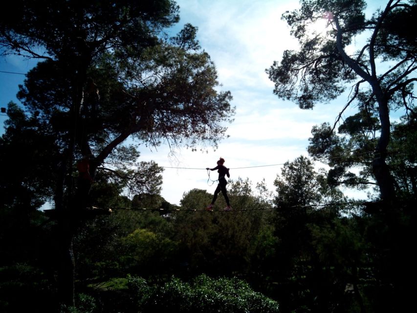 Palma: Family or Sports Course Adventure at Forestal Park - Forestal Park Mallorca at a glance