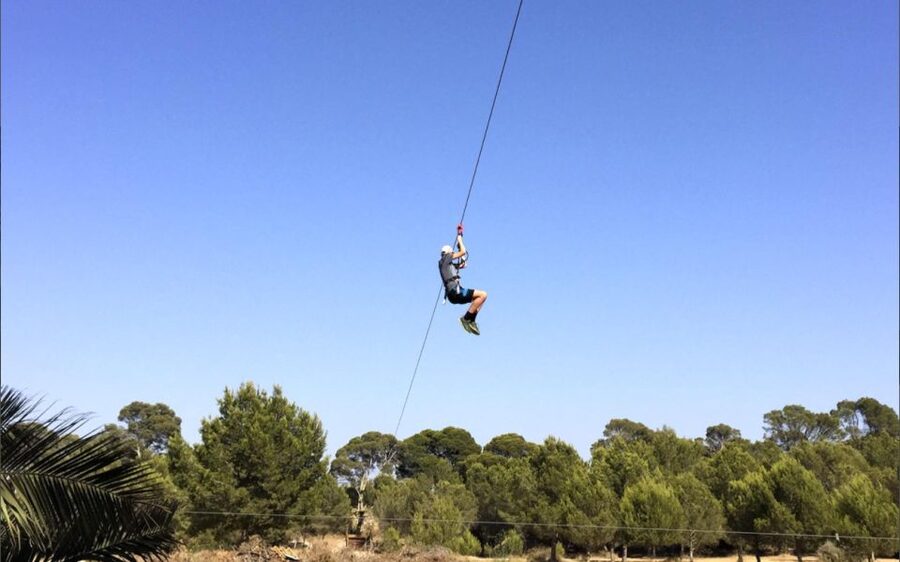 Palma: Family or Sports Course Adventure at Forestal Park - The sports course: five routes and a Tarzan swing