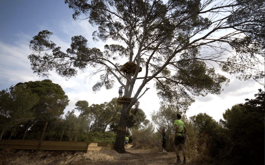 Palma: Family or Sports Course Adventure at Forestal Park - What the course feels like from platform to platform