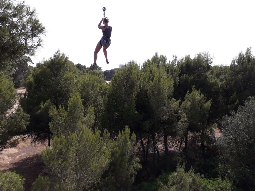 Palma: Family or Sports Course Adventure at Forestal Park - Who should choose each course?