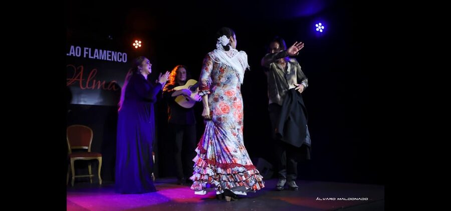 Palma: Flamenco Show at Tablao Flamenco Alma with Drink - Listen for the singer and guitarist
