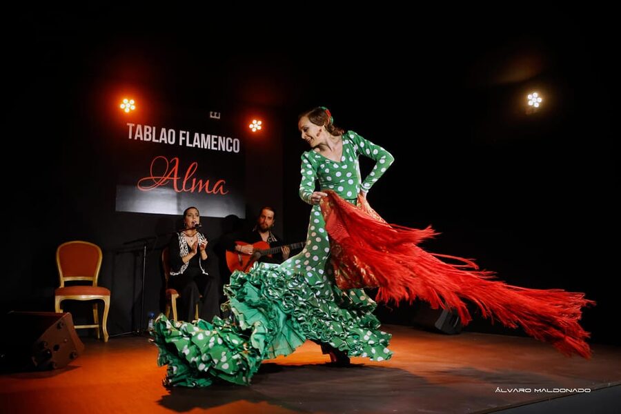 Palma: Flamenco Show at Tablao Flamenco Alma with Drink - Who will enjoy Tablao Flamenco Alma most