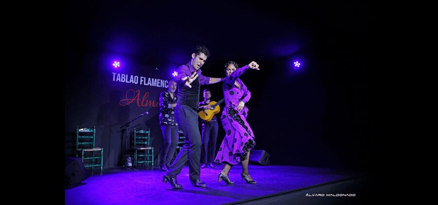 Palma: Flamenco Show at Tablao Flamenco Alma with Drink - The dancers bring the force