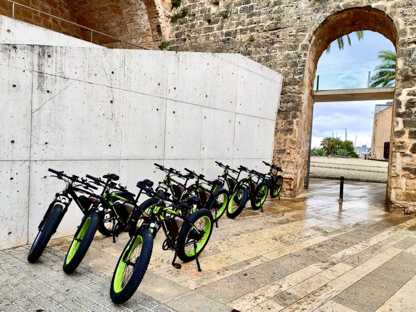 Palma: Guided City Tour with a Fat Tire E-Bike - Stopping at the Cathedral of Light