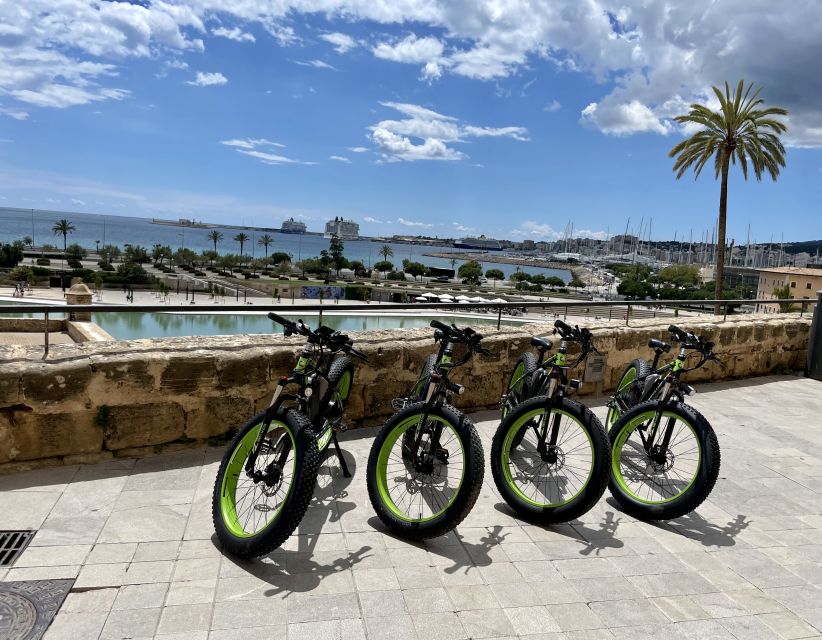 Palma: Guided City Tour with a Fat Tire E-Bike - Reaching El Molinar and the bay views