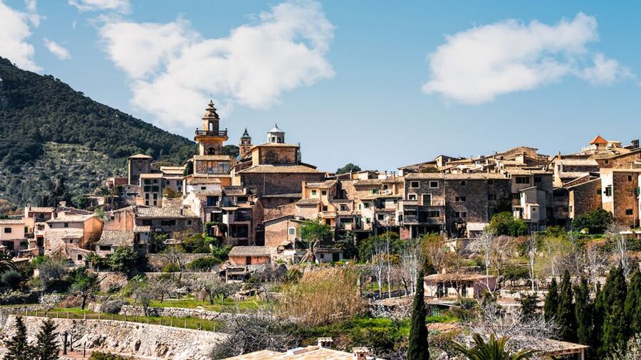 Palma: Tramuntana Full-Day Tour with Sóller Train and Lunch - Boarding the Red Lightning from Palma to Sóller