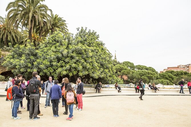 Park Guell Guided Tour with Skip the line Ticket - The main square and its serpentine bench