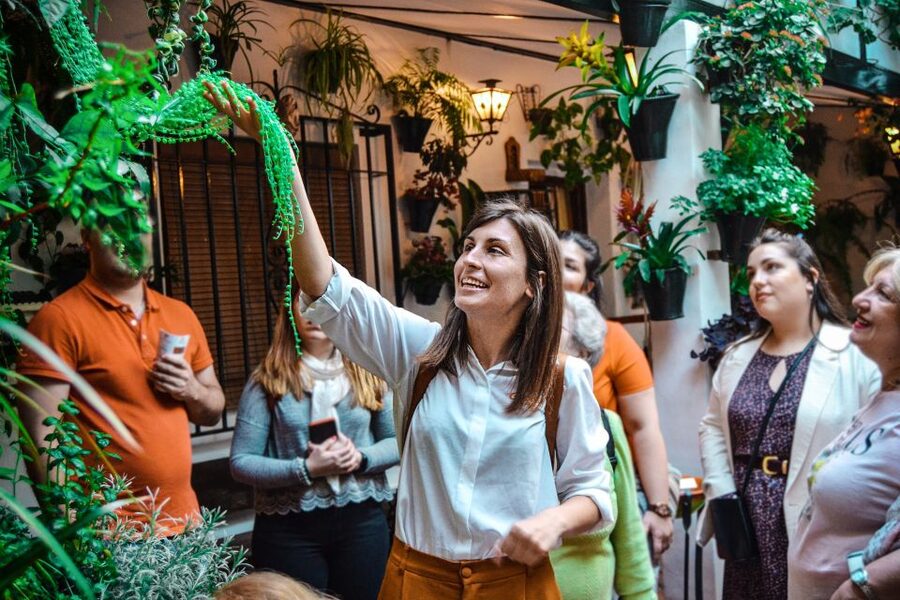 Patios of Cordoba Walking Tour - The annual contest and spring patio celebrations