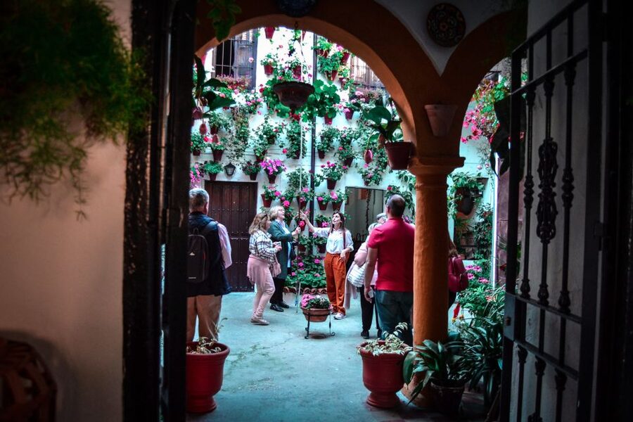 Patios of Cordoba Walking Tour - What the guide explains about flowers and daily care