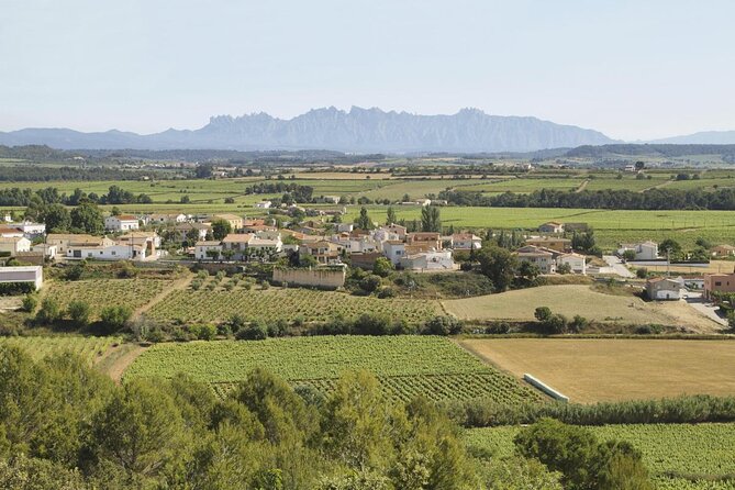 Penedes Wine & Cava Tasting & 4WD Vineyards Tour from Barcelona - Key points at a glance