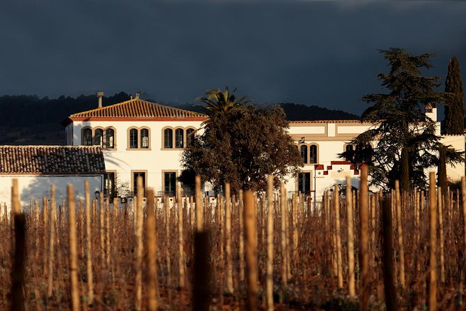 Penedes Wine & Cava Tasting & 4WD Vineyards Tour from Barcelona - Inside the cava cellars