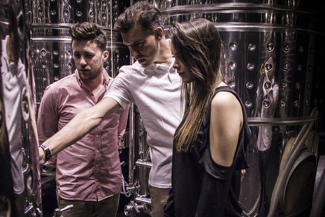 Penedes Wine & Cava Tasting & 4WD Vineyards Tour from Barcelona - What the $145.17 price gets you