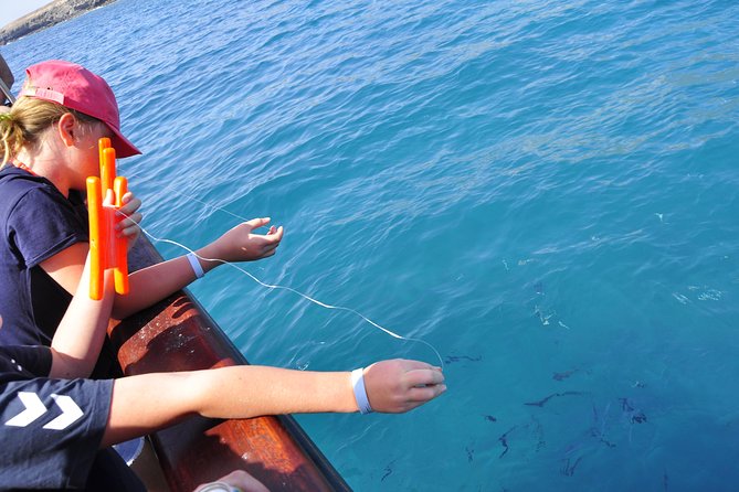 Pirate Adventure Boat Tour with Lunch in Fuerteventura - Watching for dolphins in Jandía Natural Park