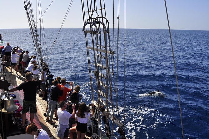 Pirate Adventure Boat Tour with Lunch in Fuerteventura - Who will enjoy the Pedra Sartaña most