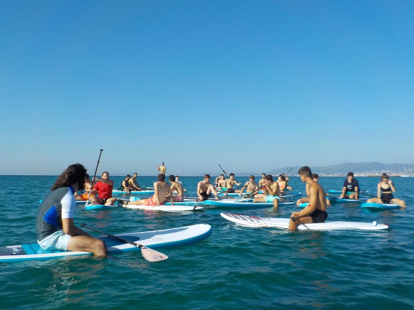 Playa Palma: Stand-up Paddleboard Rental - Who will enjoy this most
