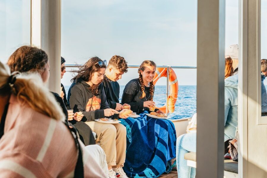 Port d'Alcudia: Sunrise at Sea & Dolphin Watching Boat Tour - Is the Alcudia sunrise dolphin tour worth booking?