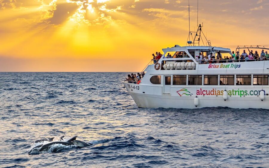 Port d'Alcudia: Sunrise at Sea & Dolphin Watching Boat Tour - Leaving Puerto de Alcúdia before dawn