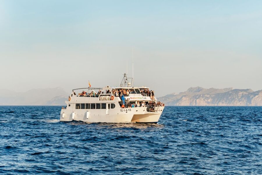 Port d'Alcudia: Sunrise at Sea & Dolphin Watching Boat Tour - Sunrise over Mallorca’s north coast