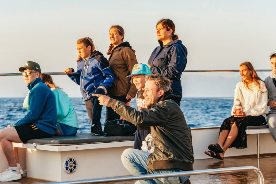 Port d'Alcudia: Sunrise at Sea & Dolphin Watching Boat Tour - Finding dolphins in the open water