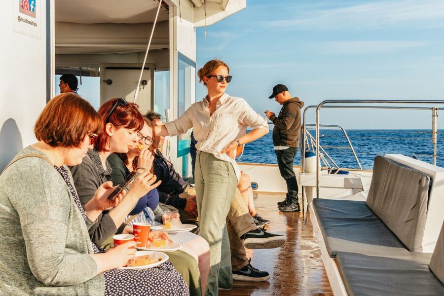 Port d'Alcudia: Sunrise at Sea & Dolphin Watching Boat Tour - The first hour at sea