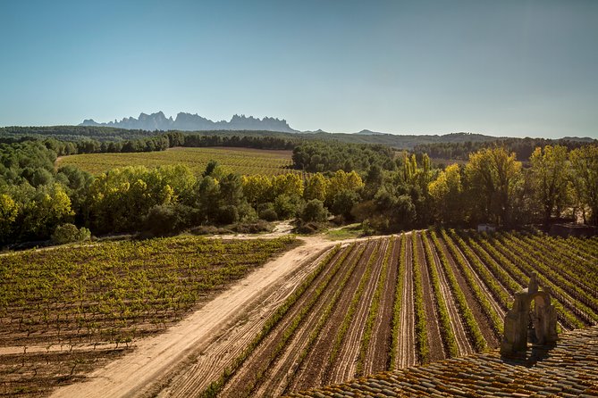 Premium Montserrat & Wine Full Day Tour from Barcelona - Guides make a real difference