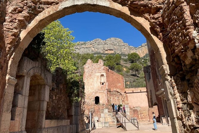 Priorat tour to 3 small wineries and hotel pick-up - Price, timing, and the real value
