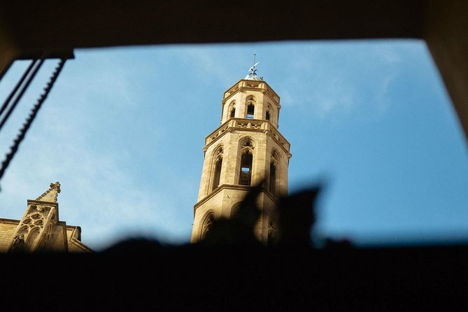 Private City Kickstart Tour: Barcelona - Fitness, transport, and timing