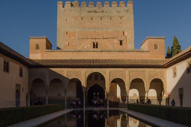 Private Tour to The Alhambra with Nasrid Palaces in Granada - The Nasrid Palaces and their fine details