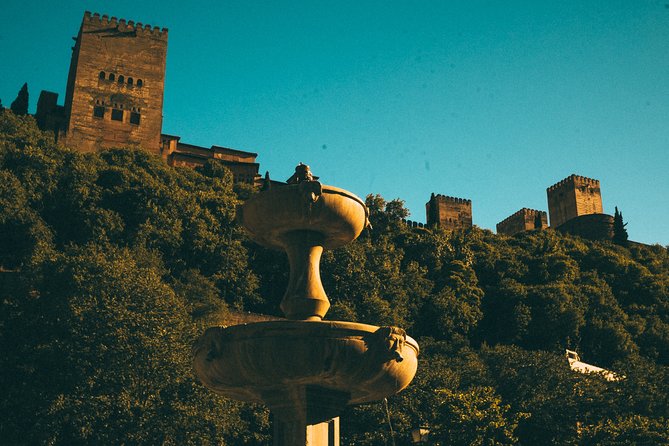 Private Tour to The Alhambra with Nasrid Palaces in Granada - Timing, heat, and the three-hour pace
